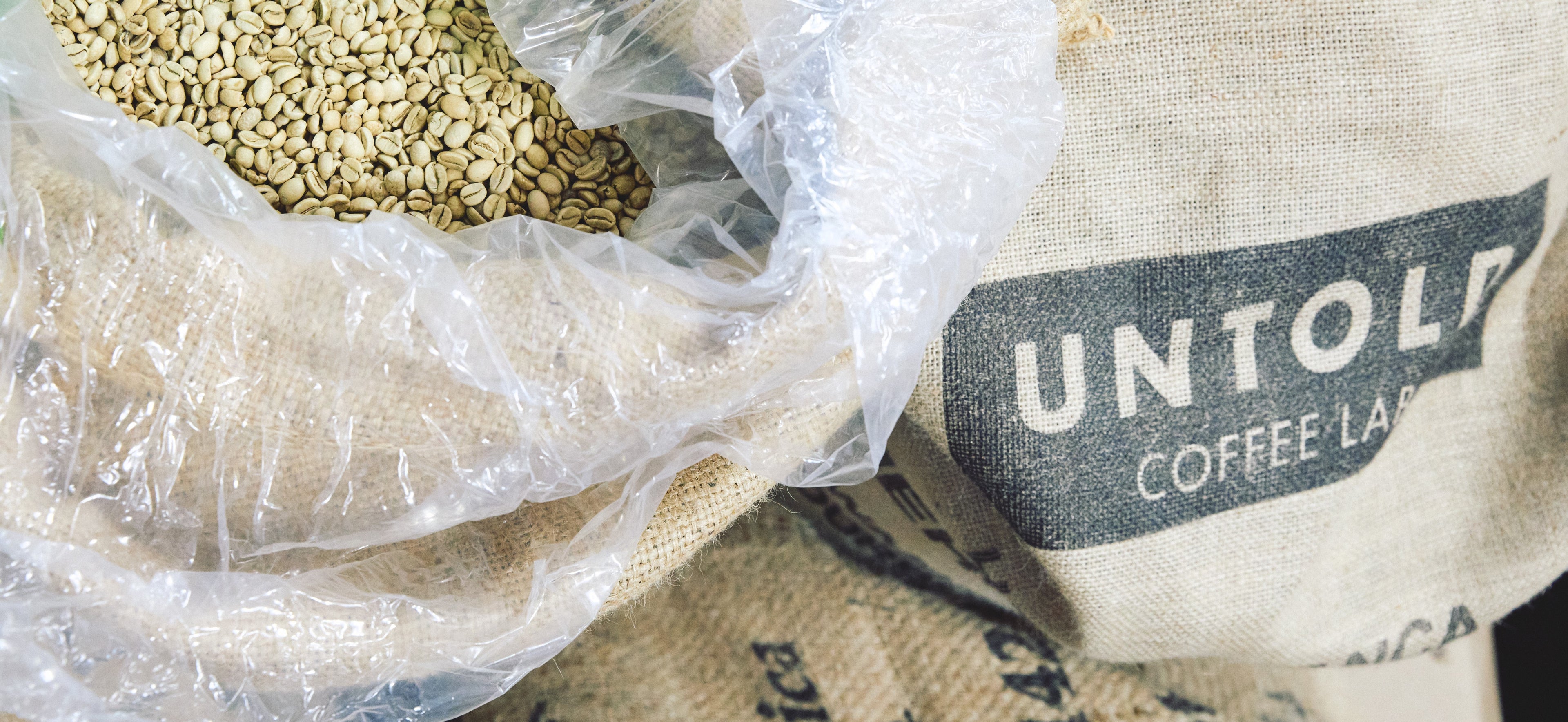 Green coffee beans in an 'Untold Coffee Lab' branded sack.